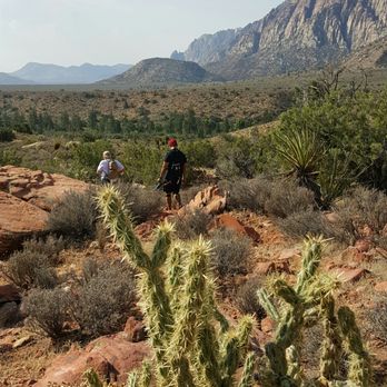 Pine Creek Canyon - Hiking Near Me - Las Vegas, Nevada Pine Creek Canyon - Hiking Near Me - Las Vegas, Nevada