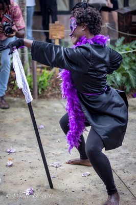 Tap Tap Tours & Transportation LLC by null