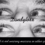 Dandyloxx