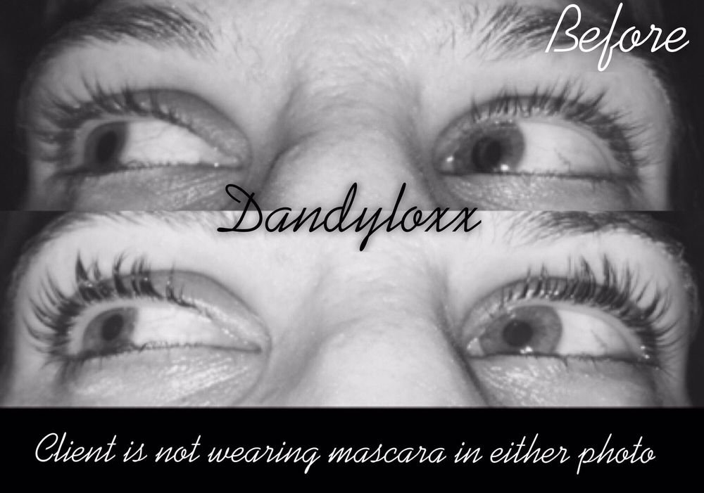 Dandyloxx Logo