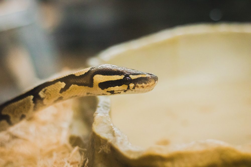 MCCLOUD’S PETS Updated August 2024 27 Photos & 38 Reviews 13769