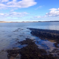 Aberlady Bay Local Nature Reserve - Stunning views today