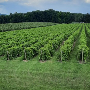 Stever Hill Vineyards - Wineries Near Me - Branchport, New York Stever Hill Vineyards - Wineries Near Me - Branchport, New York