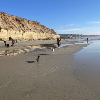 Del Mar North Beach - Dogs, beach, cliffs, ocean - Beaches Near Me - Del Mar, California