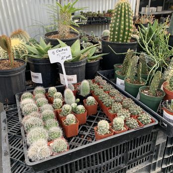 Highway 92 Succulents - Nurseries & Gardening Near Me - Half Moon Bay, California Highway 92 Succulents - Nurseries & Gardening Near Me - Half Moon Bay, California
