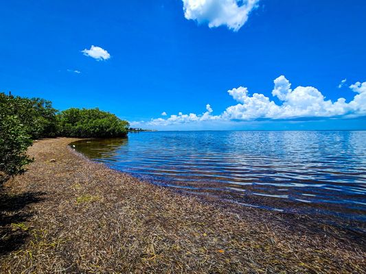 Fred Howard Park by null