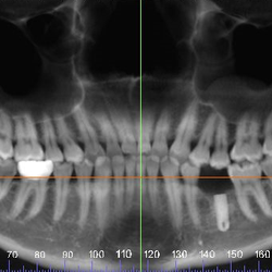 Jose F Lopez, DDS