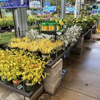 Lowe's Home Improvement - Garden center - Appliances Near Me - Hoover, Alabama