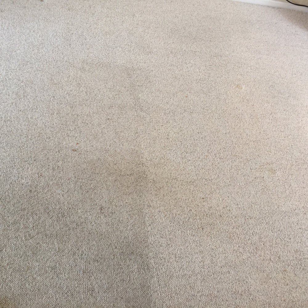 Oscar's Carpet Cleaning - Before and after - Carpet Cleaning Near Me Oscar's Carpet Cleaning - Before and after - Carpet Cleaning Near Me