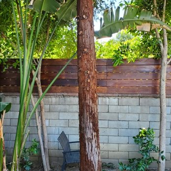 101 Handy Guy - Handyman Near Me - Los Angeles, California