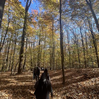 Patapsco Valley State Park - Parks Near Me - Ellicott City, Maryland