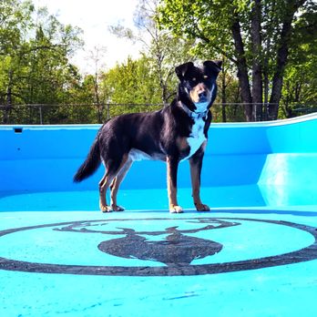 Elkwood Campground - Huge pool - Campgrounds Near Me - Wolverine, Michigan Elkwood Campground - Huge pool - Campgrounds Near Me - Wolverine, Michigan