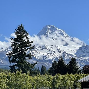 Solera Brewery - a view of a snow capped mountain - Breweries Near Me - Mount Hood Parkdale, Oregon Solera Brewery - a view of a snow capped mountain - Breweries Near Me - Mount Hood Parkdale, Oregon