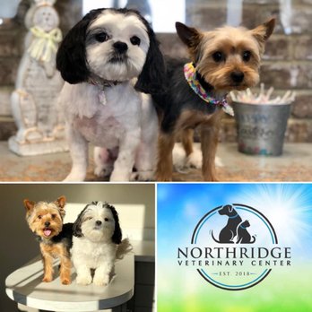 Northridge Veterinary Center - Grooming services available - Veterinarians Near Me - Columbus, Georgia Northridge Veterinary Center - Grooming services available - Veterinarians Near Me - Columbus, Georgia