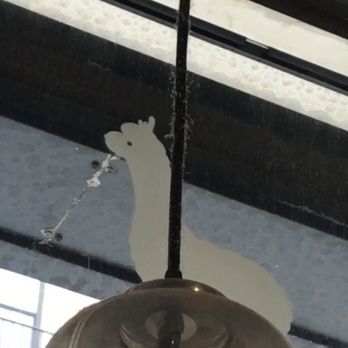 Bibble & Sip - Dirt on the lights right above where people eat/drink by the window - Coffee & Tea Near Me - New York, New York Bibble & Sip - Dirt on the lights right above where people eat/drink by the window - Coffee & Tea Near Me - New York, New York