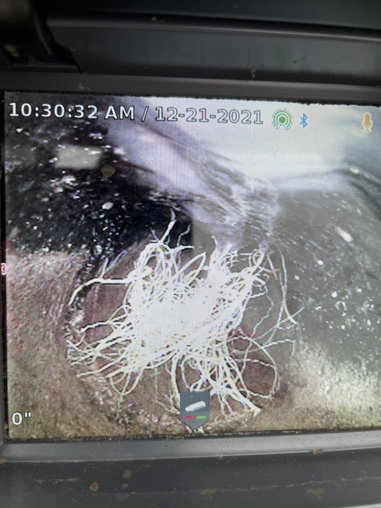 Slide of Busy Bee Drain