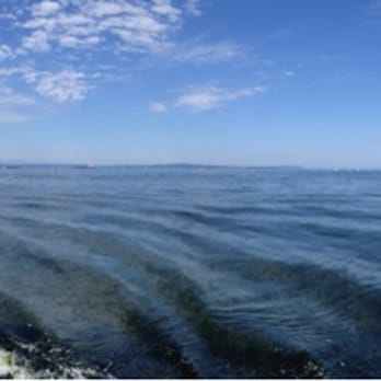 Discovery Park - Parks Near Me - Seattle, Washington Discovery Park - Parks Near Me - Seattle, Washington