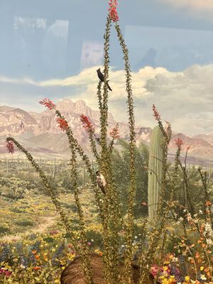 Denver Museum of Nature & Science by null