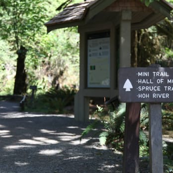 Hoh Rainforest - Hiking Near Me - Forks, Washington Hoh Rainforest - Hiking Near Me - Forks, Washington