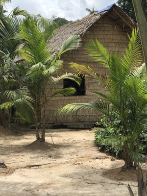 Amazon Ecopark Jungle Lodge by null