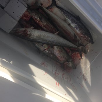 Surfside Beach Charters - Fishing Near Me - Freeport, Texas Surfside Beach Charters - Fishing Near Me - Freeport, Texas