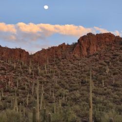 Tucson Mountain Stables - The moonlight over the horizon