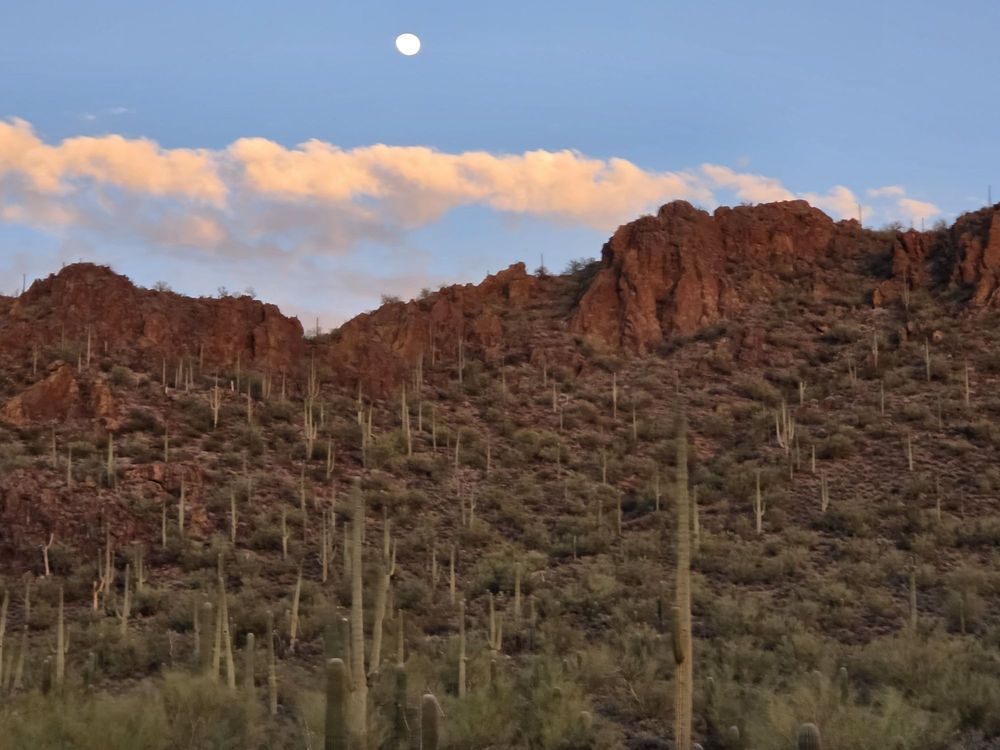 Tucson Mountain Stables Logo