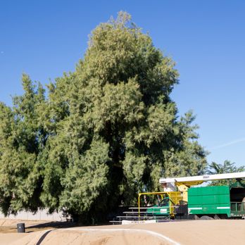 Ewing Tree Experts - Tree Services Near Me Ewing Tree Experts - Tree Services Near Me