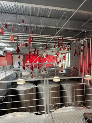 HALL Wines St. Helena by null