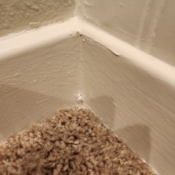 CR Socal Paints - Painted on carpet (it's attached at the corner spot to the wall) so its not properly prepped. - Painters Near Me - San Jacinto, California