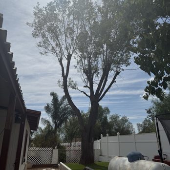 J A G S Tree Service - Atftee - Masonry/Concrete Near Me J A G S Tree Service - Atftee - Masonry/Concrete Near Me