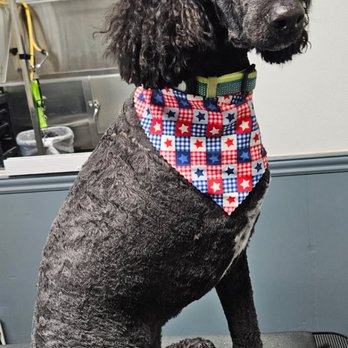 Timberline Pet Ranch - Pet Groomers Near Me - Kirksville, Missouri Timberline Pet Ranch - Pet Groomers Near Me - Kirksville, Missouri