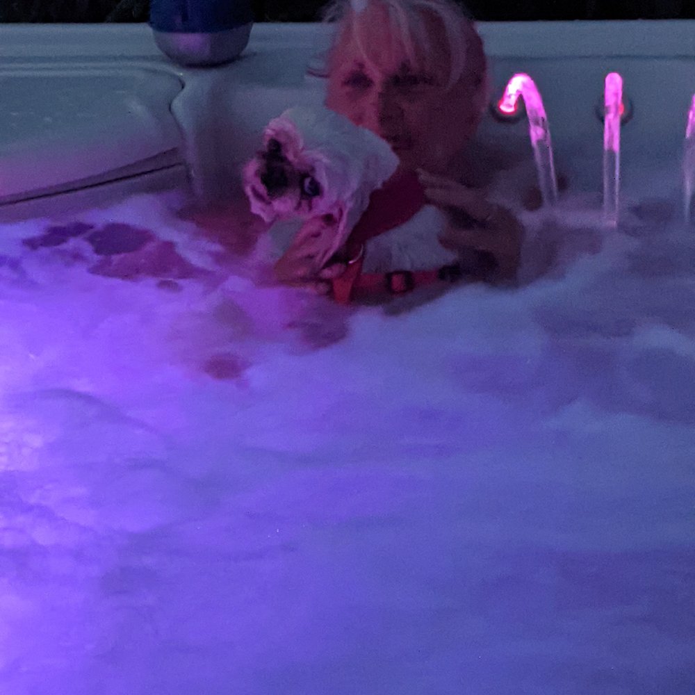 Spas Factory Direct - Thank you for helping our dream come true - Hot Tub & Pool Near Me - Mishawaka, Indiana Spas Factory Direct - Thank you for helping our dream come true - Hot Tub & Pool Near Me - Mishawaka, Indiana