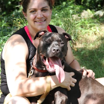 Prima Donna Pet Services - Dog Walkers Near Me Prima Donna Pet Services - Dog Walkers Near Me