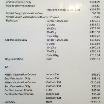 Braid Vets - Braid Vets Price List - Veterinarians Near Me - Edinburgh, EDH Braid Vets - Braid Vets Price List - Veterinarians Near Me - Edinburgh, EDH
