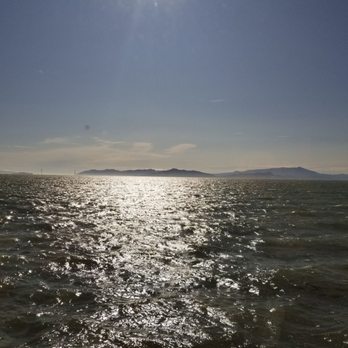 Skates On The Bay - Loved the view - Seafood Near Me - Berkeley, California