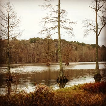 Stumpy Lake Natural Area - Rafting/Kayaking Near Me - Virginia Beach, Virginia