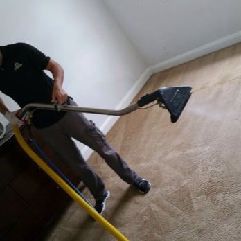 USA Green Clean - pet treatment in progress - Carpet Cleaning Near Me USA Green Clean - pet treatment in progress - Carpet Cleaning Near Me
