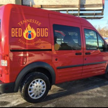 Tennessee Bed Bugs - Pest Control Near Me - Nashville, Tennessee Tennessee Bed Bugs - Pest Control Near Me - Nashville, Tennessee