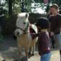 Dulwich Riding Scool