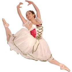 The Dance Company - Studio of Classical Ballet Arts