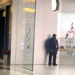 Apple Polaris Fashion Place - Guard