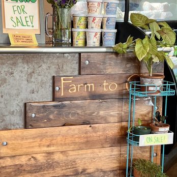 Bodhi Leaf Coffee Traders - The plants you see in store are for sale which is so cool! - Coffee & Tea Near Me - Placentia, California Bodhi Leaf Coffee Traders - The plants you see in store are for sale which is so cool! - Coffee & Tea Near Me - Placentia, California