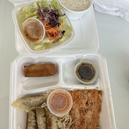 Bento Box A