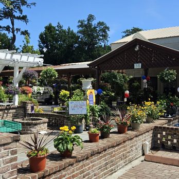 Sunshine Nursery & Landscape - Nurseries & Gardening Near Me - Bluffton, South Carolina Sunshine Nursery & Landscape - Nurseries & Gardening Near Me - Bluffton, South Carolina