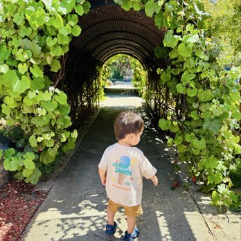 Children's Discovery Museum - Children's Museums Near Me - San Jose, California