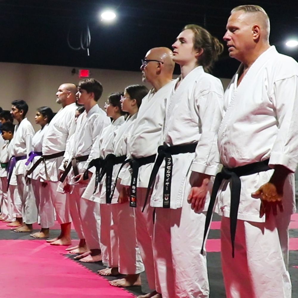 Missouri Karate Association Logo