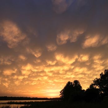 John Chesnut Sr Park - Beautiful clouds - Parks Near Me - Palm Harbor, Florida