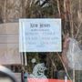 Photo of The Lazy Daisy Bookshop