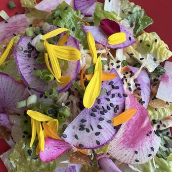 Bites & Bashes Cafe - Asian salad, almost too beautiful to eat!  Delicious! - Cafes Near Me - Lomita, California